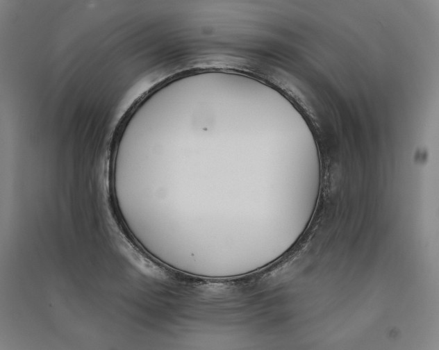 X0000091341130200708171406