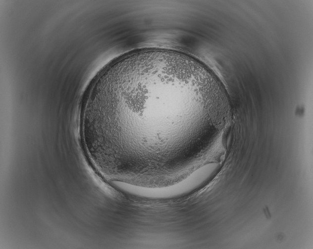 X0000091341131200708171406