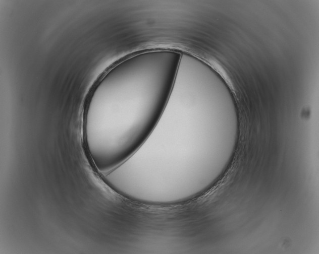 X0000091341132200708171406