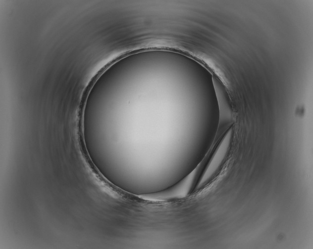 X0000091341134200708171406