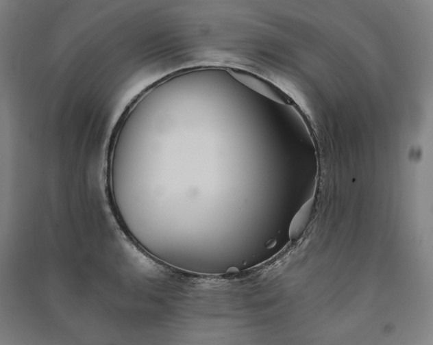 X0000091341136200708171406