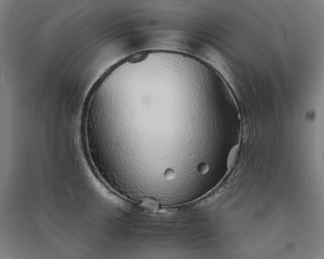 X0000091341139200708171406