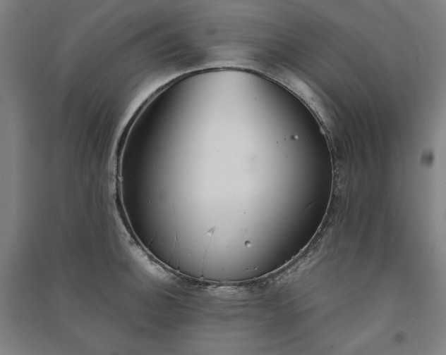 X0000091341140200708171406