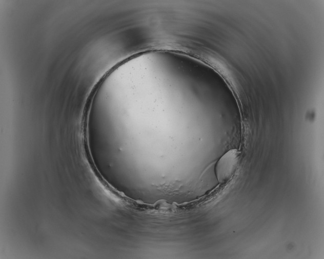 X0000091341141200708171406