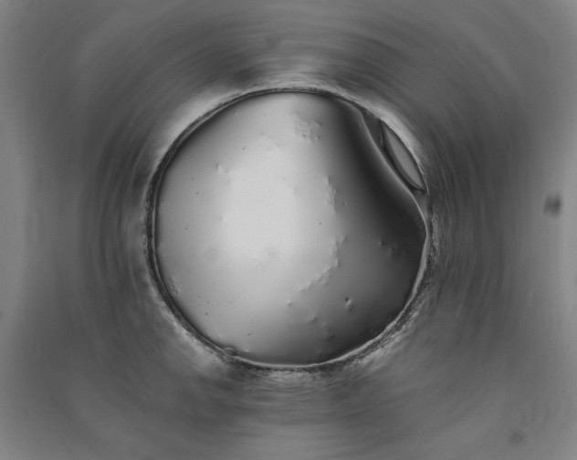 X0000091341142200708171406