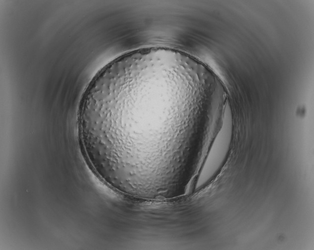 X0000091341143200708171406