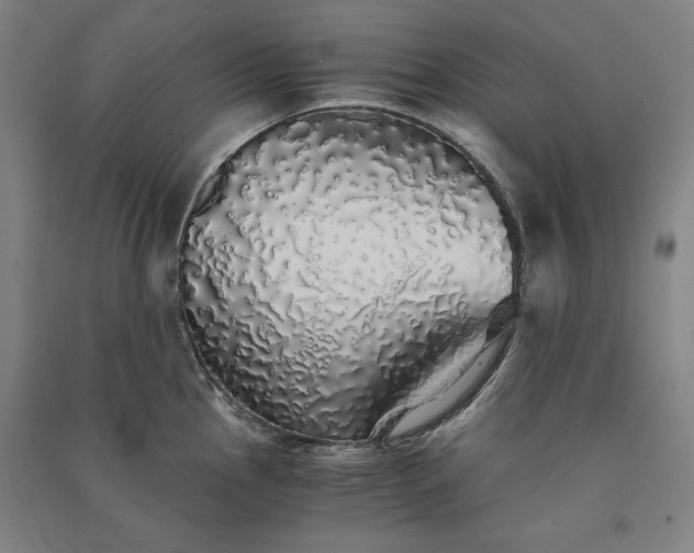 X0000091341145200708171406