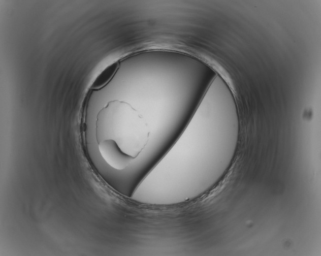 X0000091341146200708171406