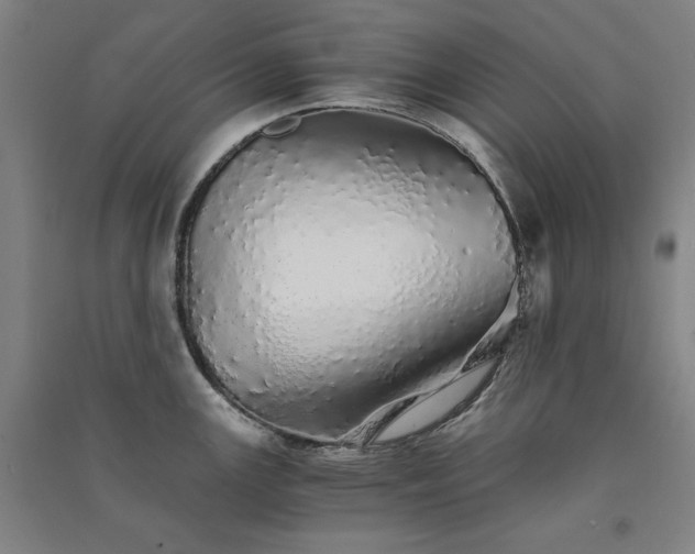 X0000091341147200708171406