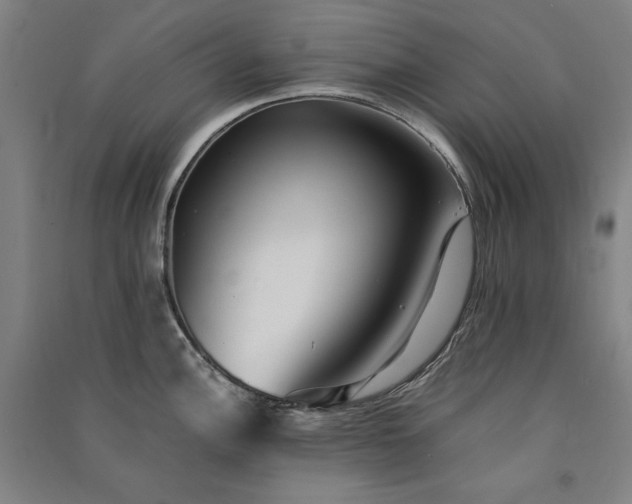 X0000091341148200708171406