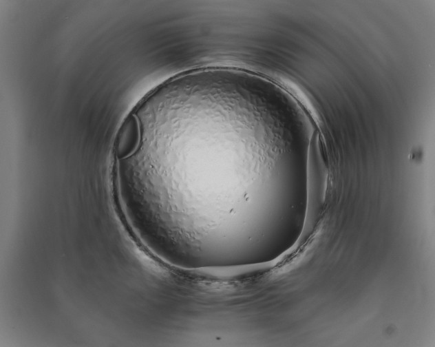 X0000091341149200708171406