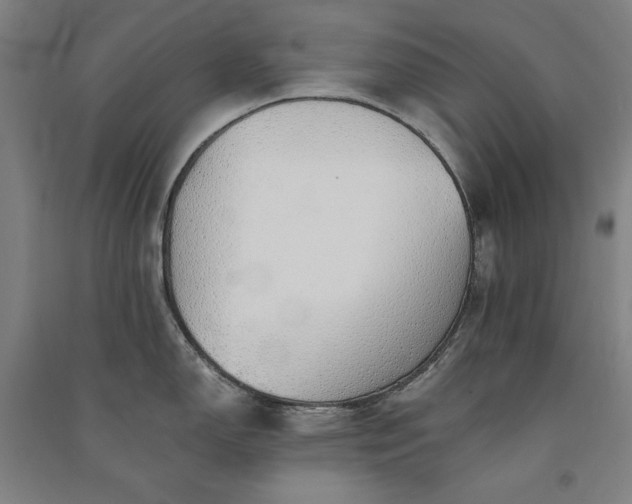 X0000091341150200708171406