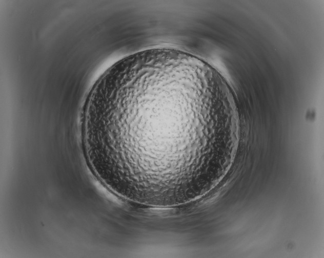 X0000091341151200708171406