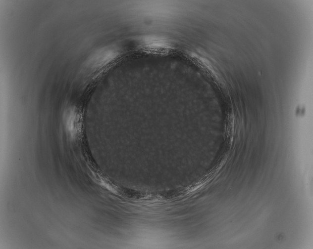 X0000091341154200708171405