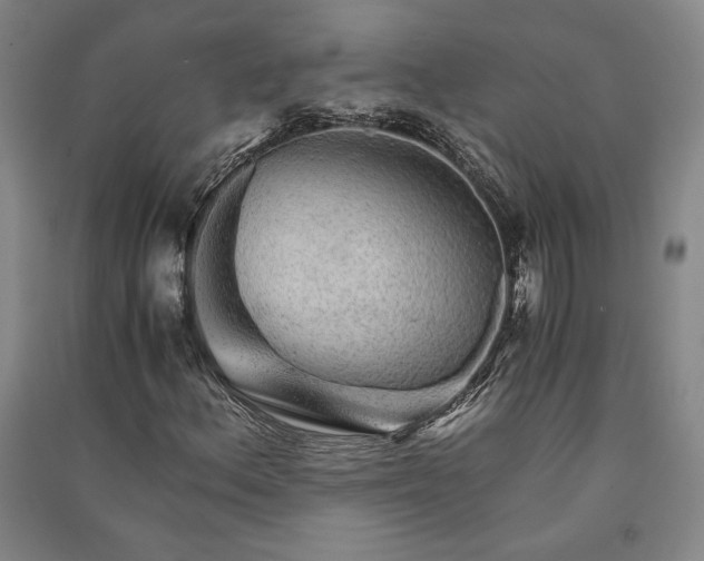 X0000091341156200708171405