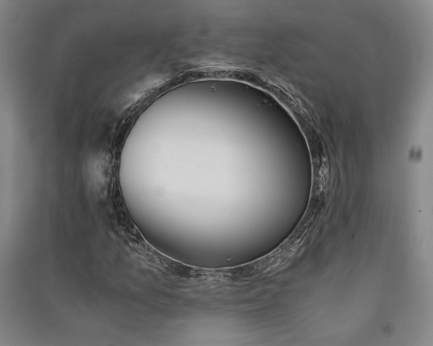 X0000091341157200708171405