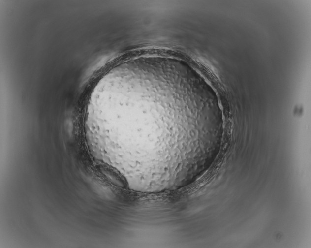 X0000091341159200708171405