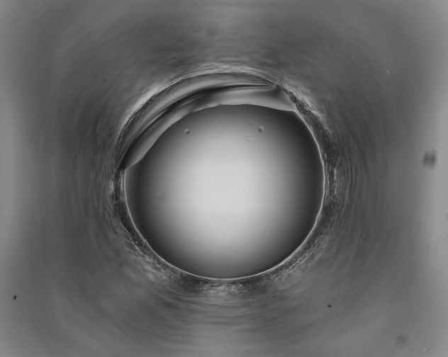 X0000091341165200708171405