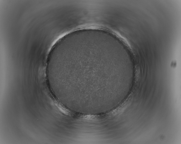 X0000091341166200708171405