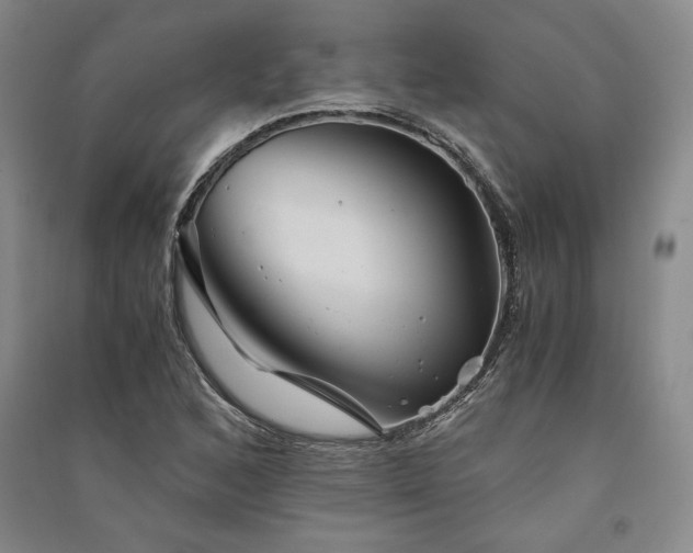 X0000091341168200708171405