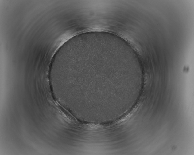 X0000091341170200708171405