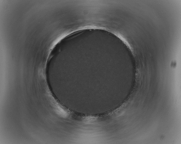 X0000091341173200708171405