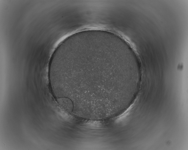 X0000091341174200708171405