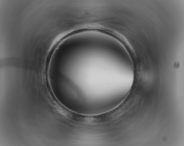 X0000091341176200708171405