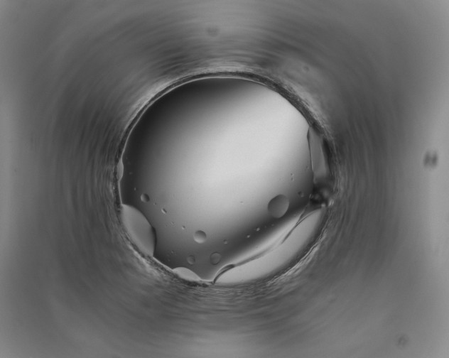 X0000091341177200708171405