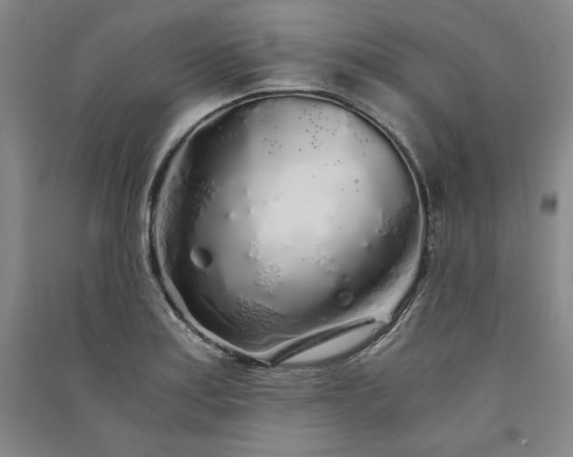 X0000091341179200708171405