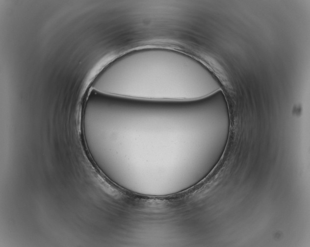 X0000091341180200708171405