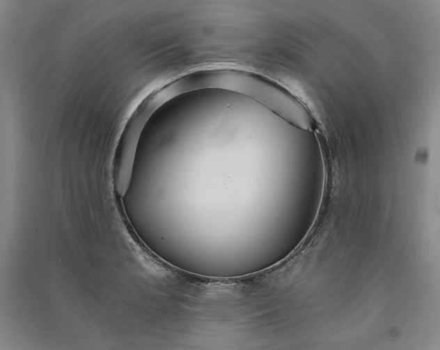 X0000091341181200708171405