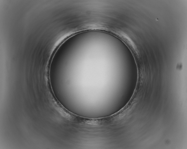 X0000091341182200708171405