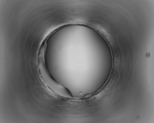 X0000091341184200708171405