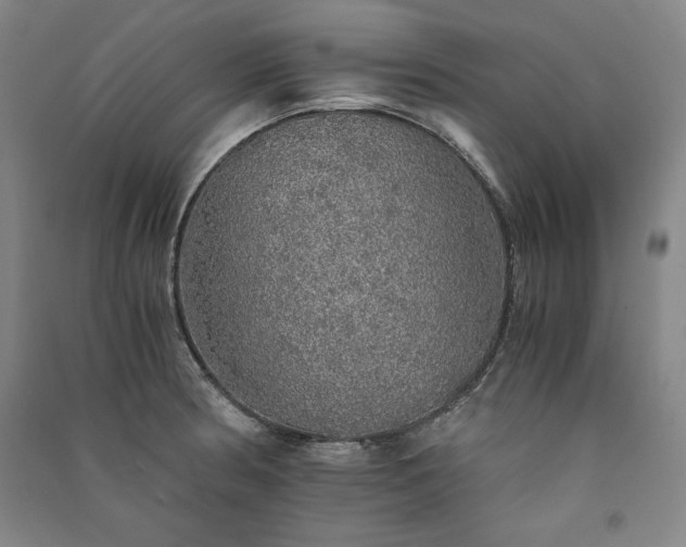 X0000091341186200708171405