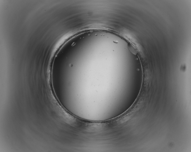 X0000091341188200708171405