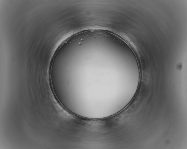 X0000091341189200708171405