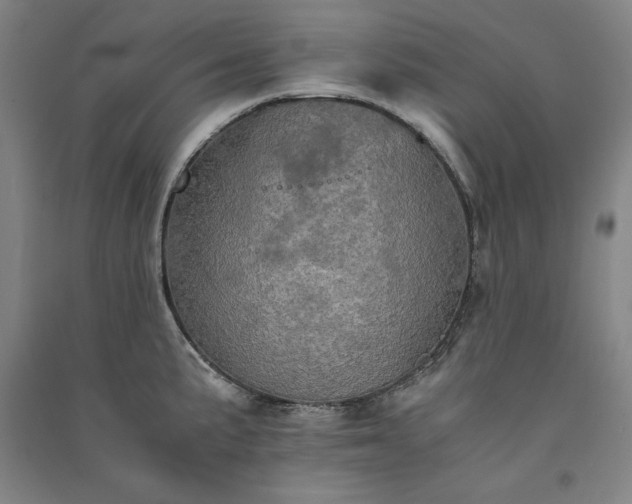 X0000091341191200708171405