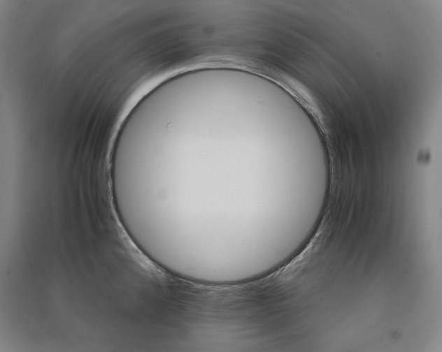 X0000091341192200708171405