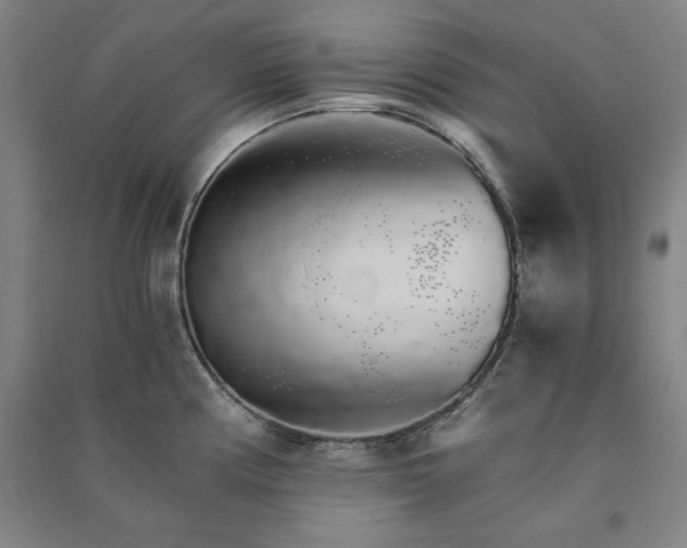 X0000091341194200708171405