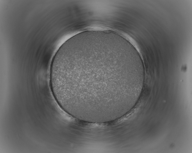 X0000091341195200708171405