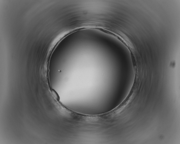 X0000091341196200708171405