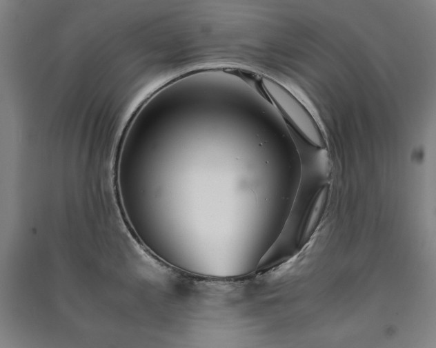 X0000091341197200708171404