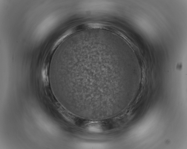 X0000091341198200708171404