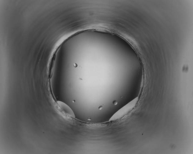 X0000091341200200708171404