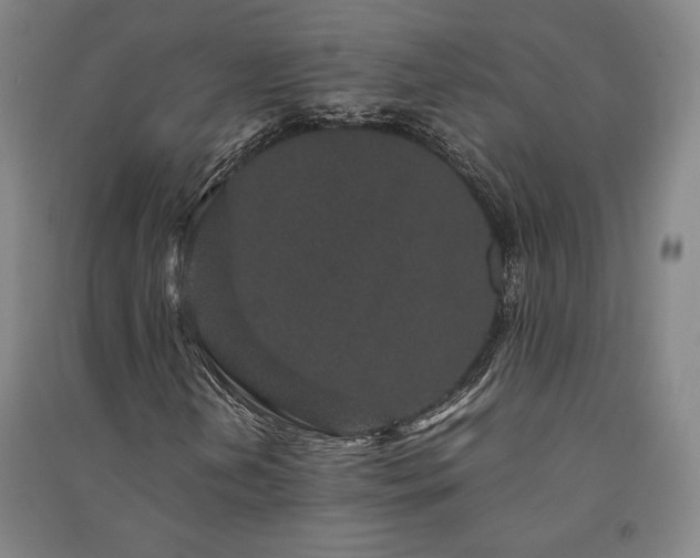 X0000091341202200708171404