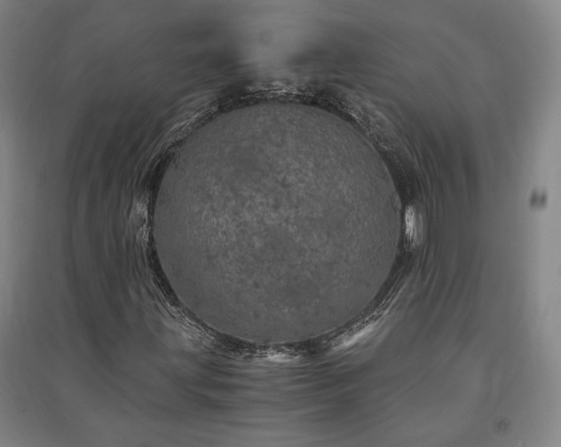 X0000091341203200708171404