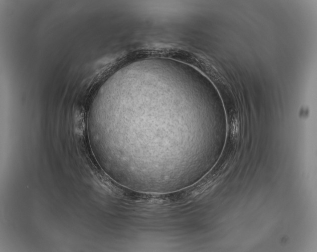 X0000091341204200708171404