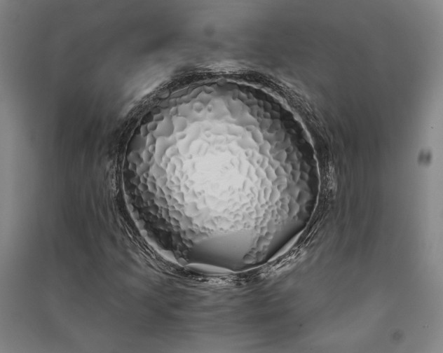 X0000091341205200708171404