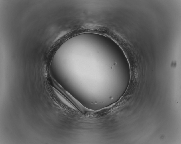 X0000091341206200708171404